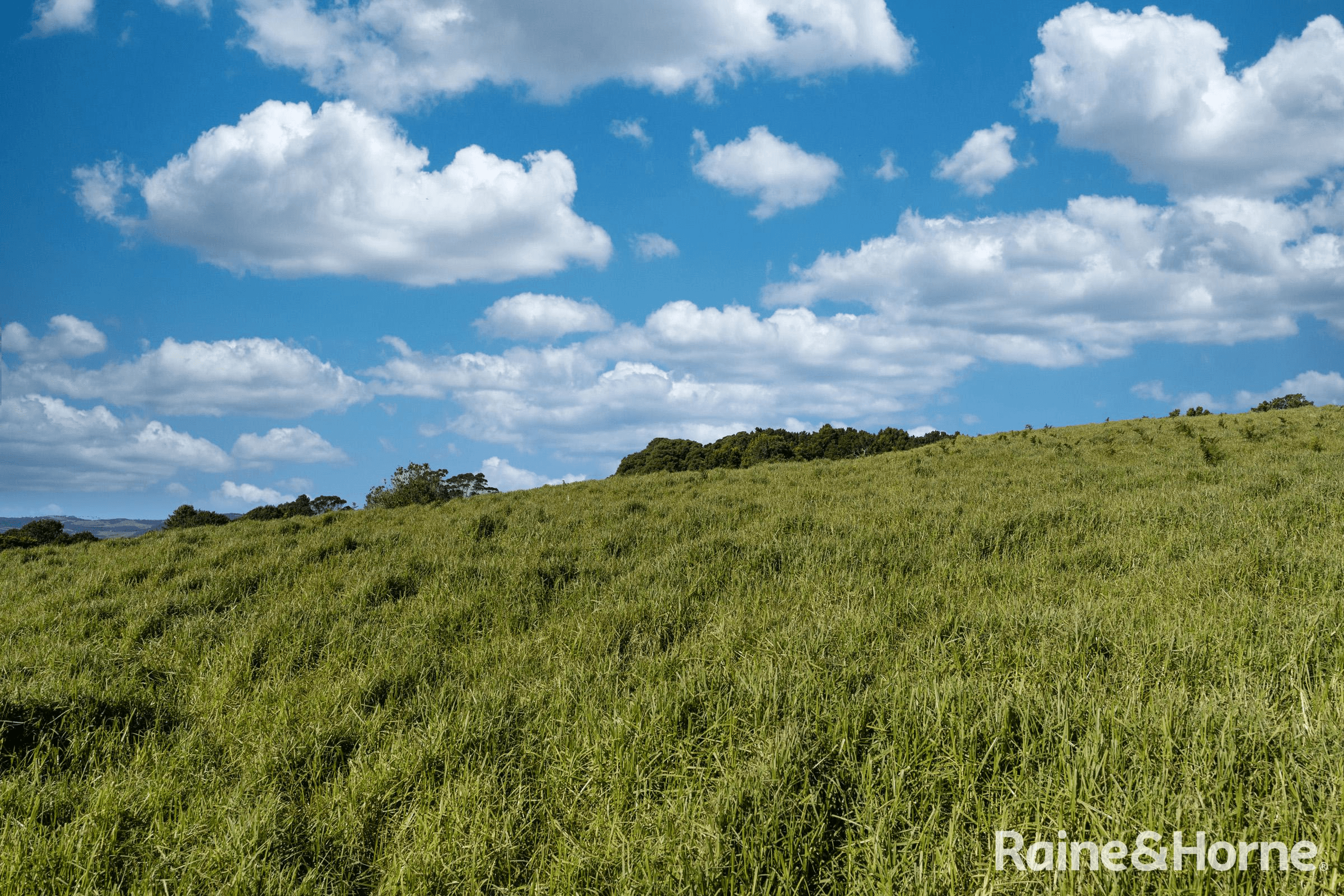 4116 Illawarra Highway, ROBERTSON, NSW 2577