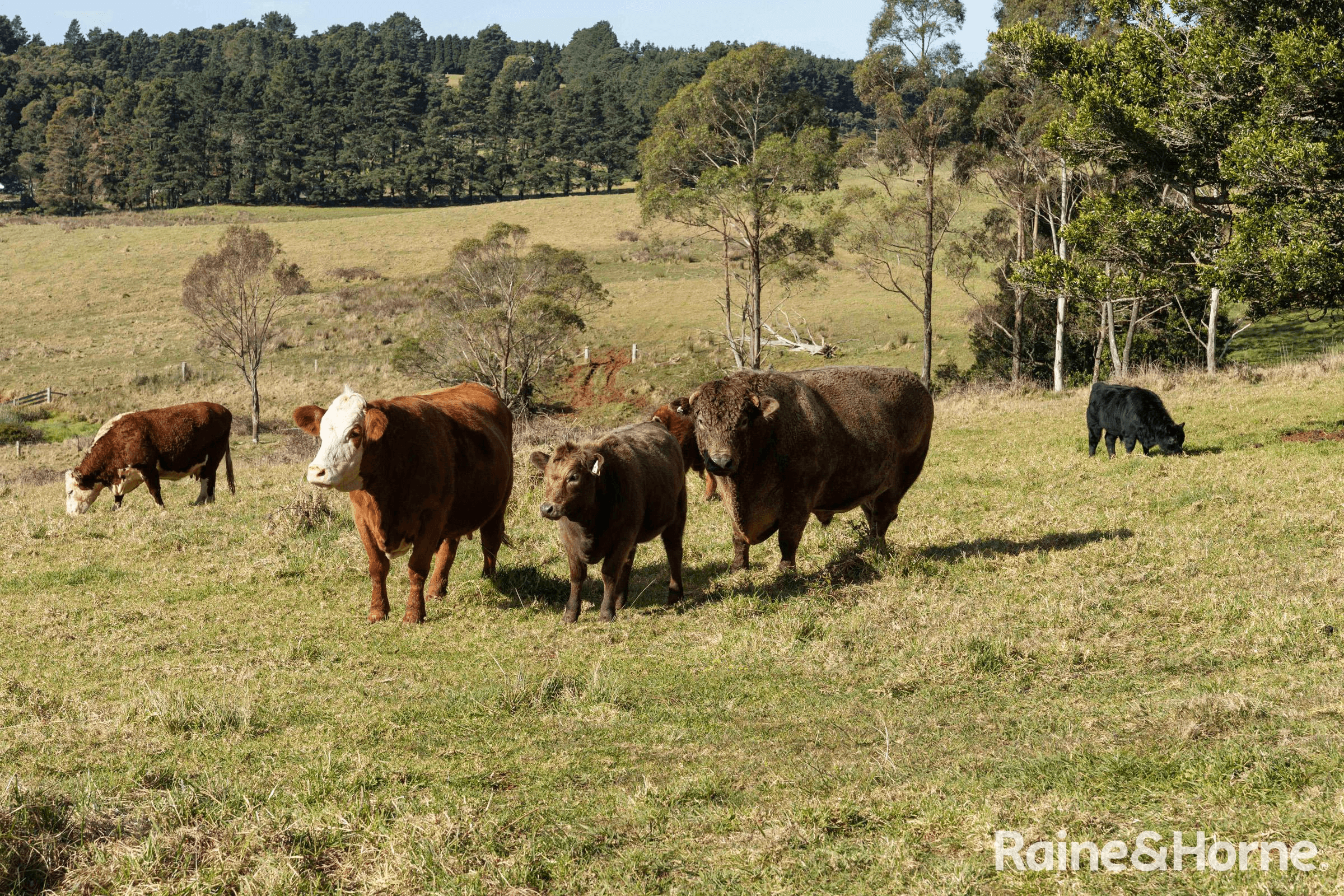 4116 Illawarra Highway, ROBERTSON, NSW 2577