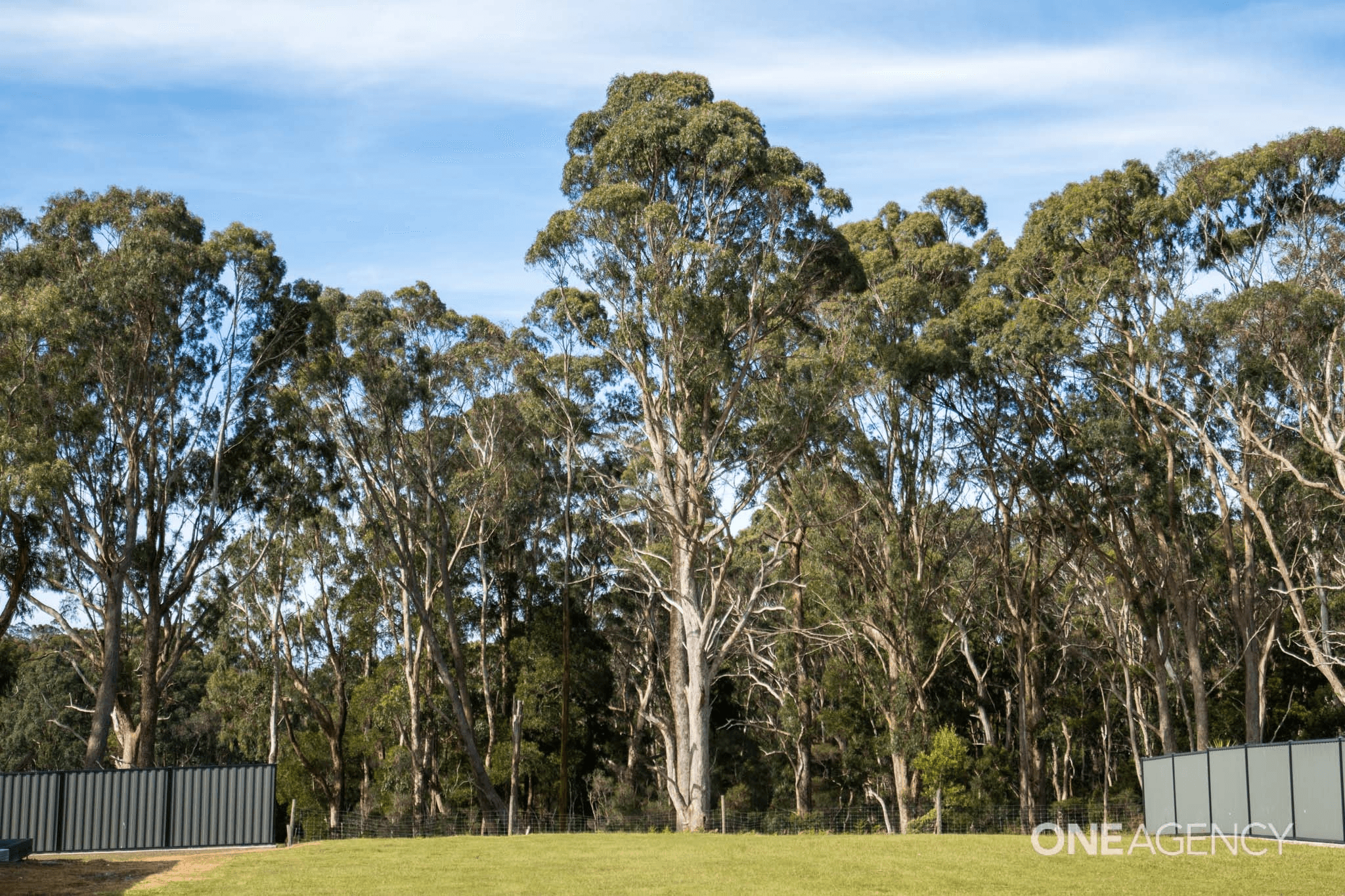 50 Katelyn Drive, Wynyard, TAS 7325