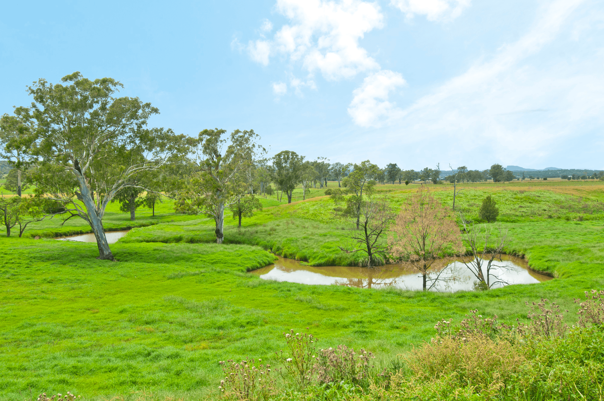 195 Hall Road, WOODHILL, QLD 4285