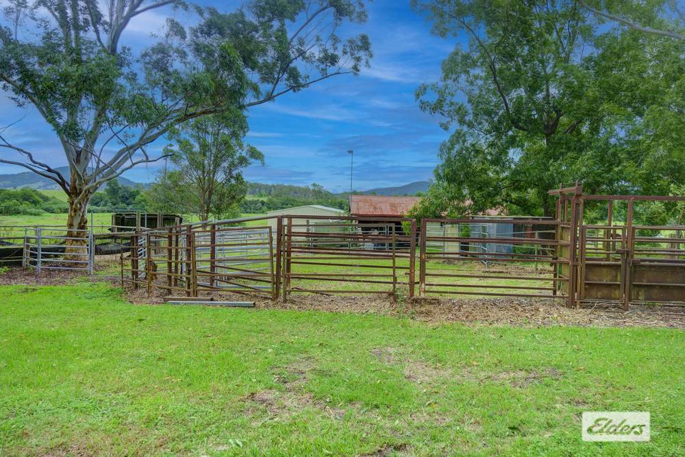 873 Cedar Party Road, Cedar Party, NSW 2429