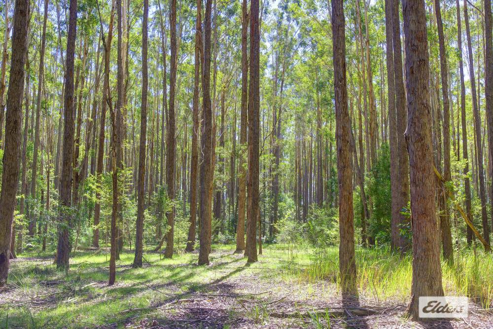 873 Cedar Party Road, Cedar Party, NSW 2429