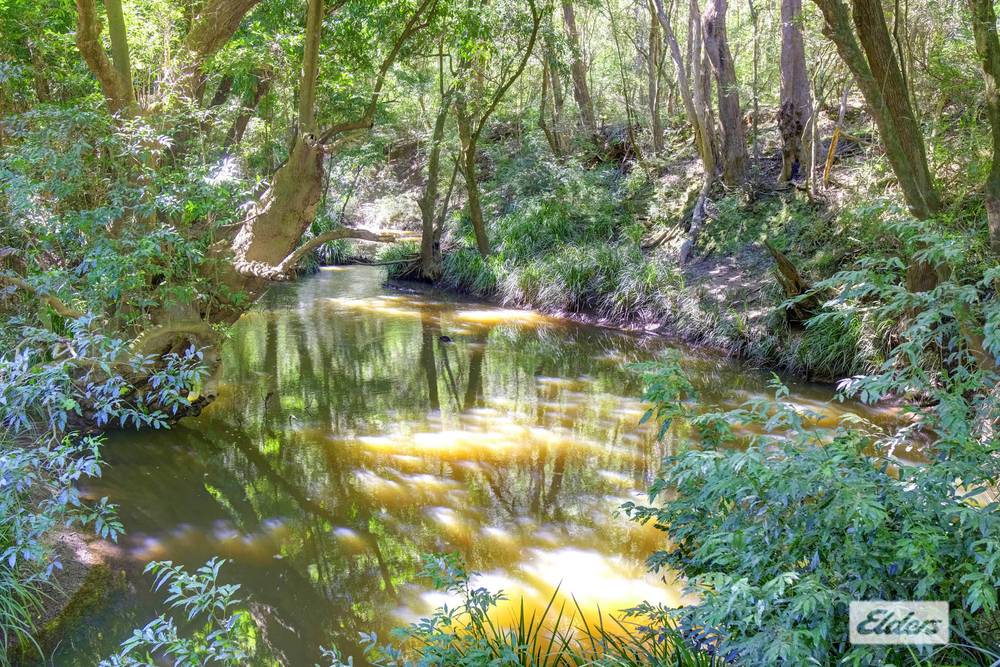 873 Cedar Party Road, Cedar Party, NSW 2429