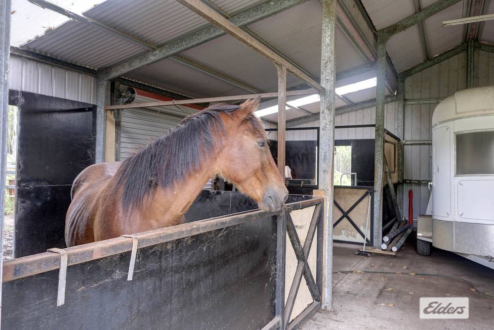 873 Cedar Party Road, Cedar Party, NSW 2429