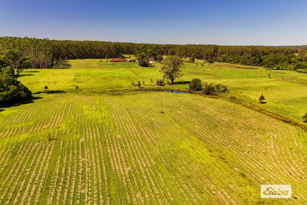 873 Cedar Party Road, Cedar Party, NSW 2429