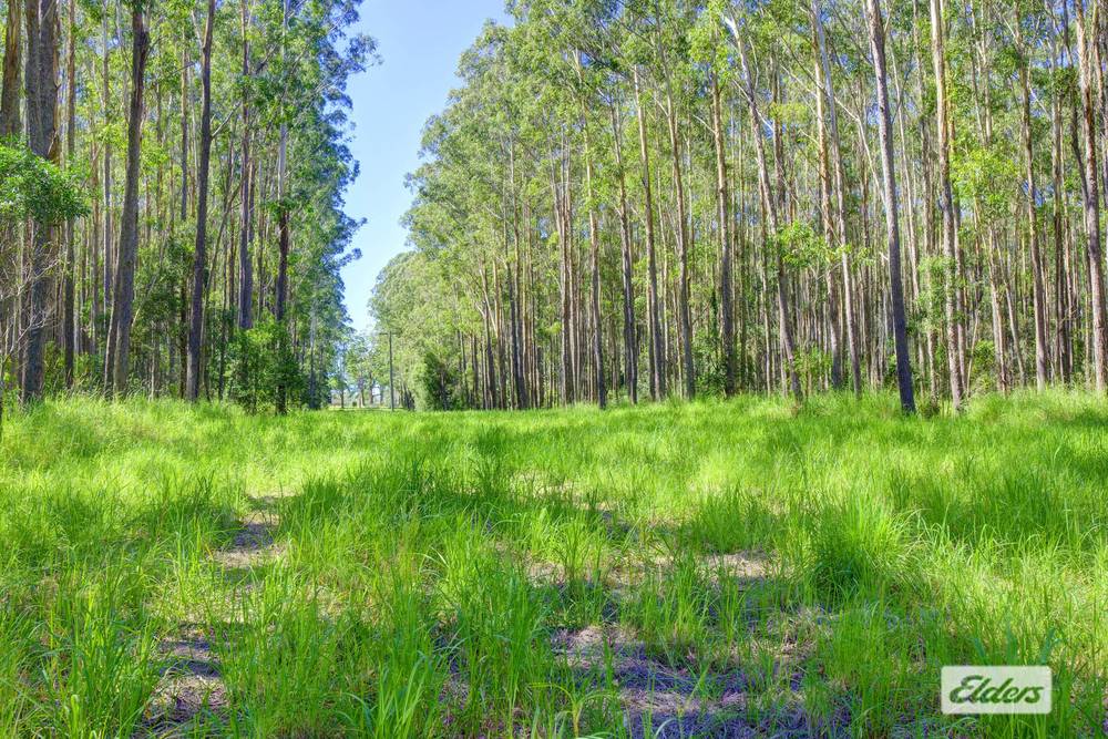 873 Cedar Party Road, Cedar Party, NSW 2429