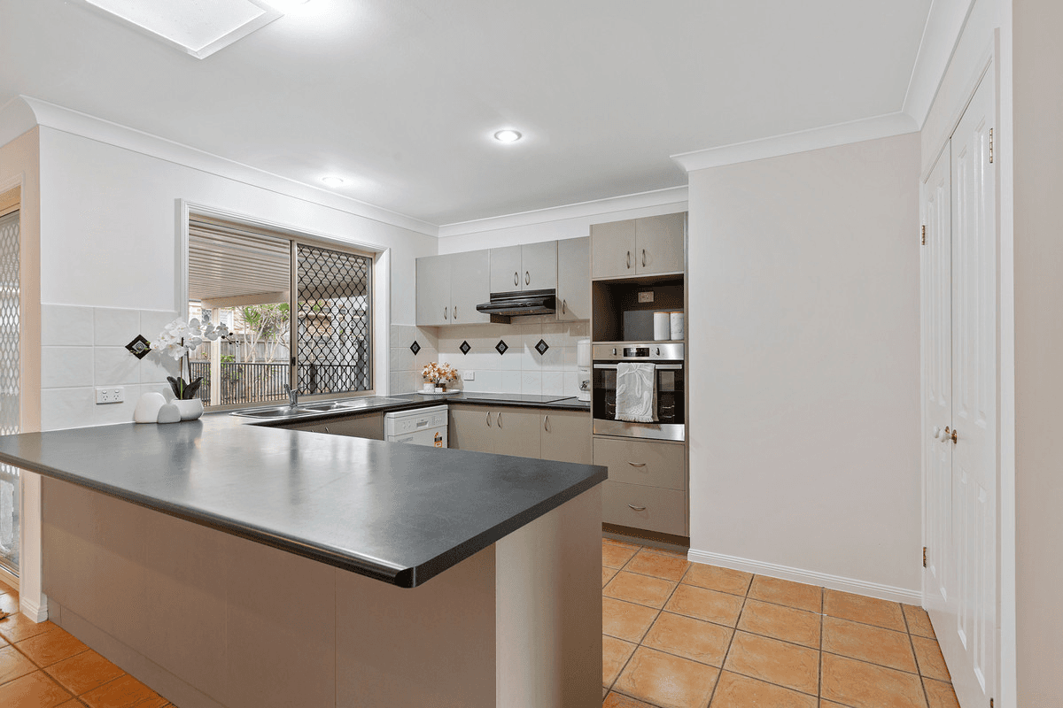 9 Cumulus Place, BIRKDALE, QLD 4159