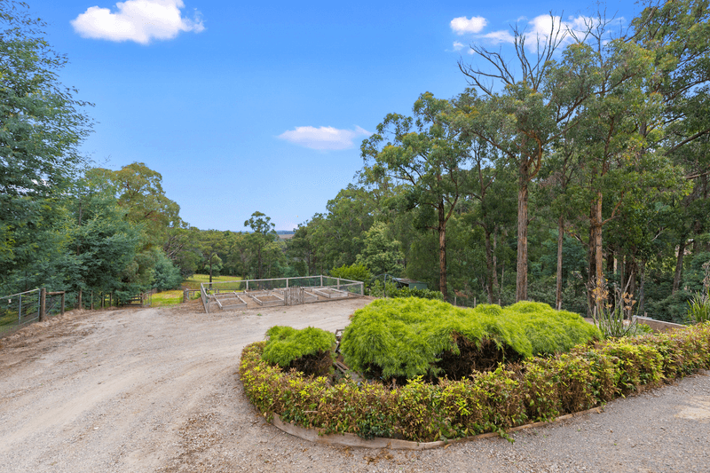 35 Glenara Road, HODDLES CREEK, VIC 3139