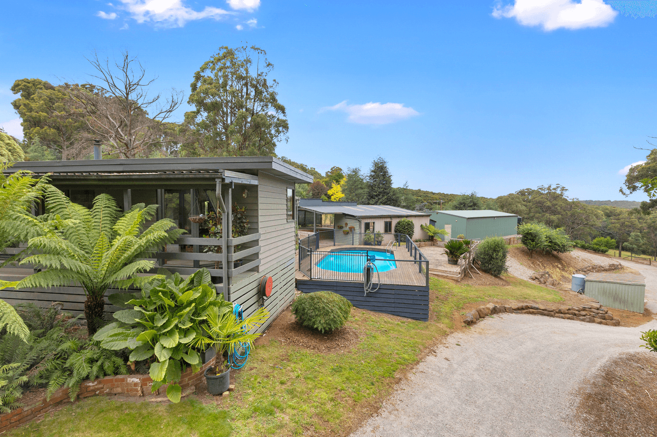 35 Glenara Road, HODDLES CREEK, VIC 3139