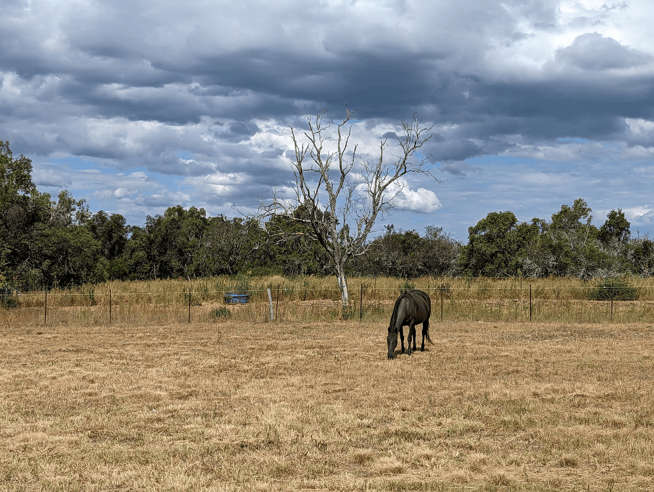 89 Petersens Road, MA MA CREEK, QLD 4347