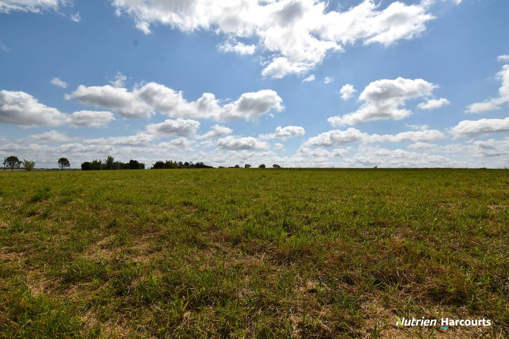Lot 3, 909 Pine Creek Road, ELECTRA, QLD 4670