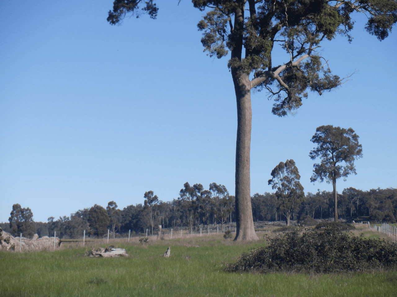 Lot 9604 Ephraim Gully Road, MANJIMUP, WA 6258