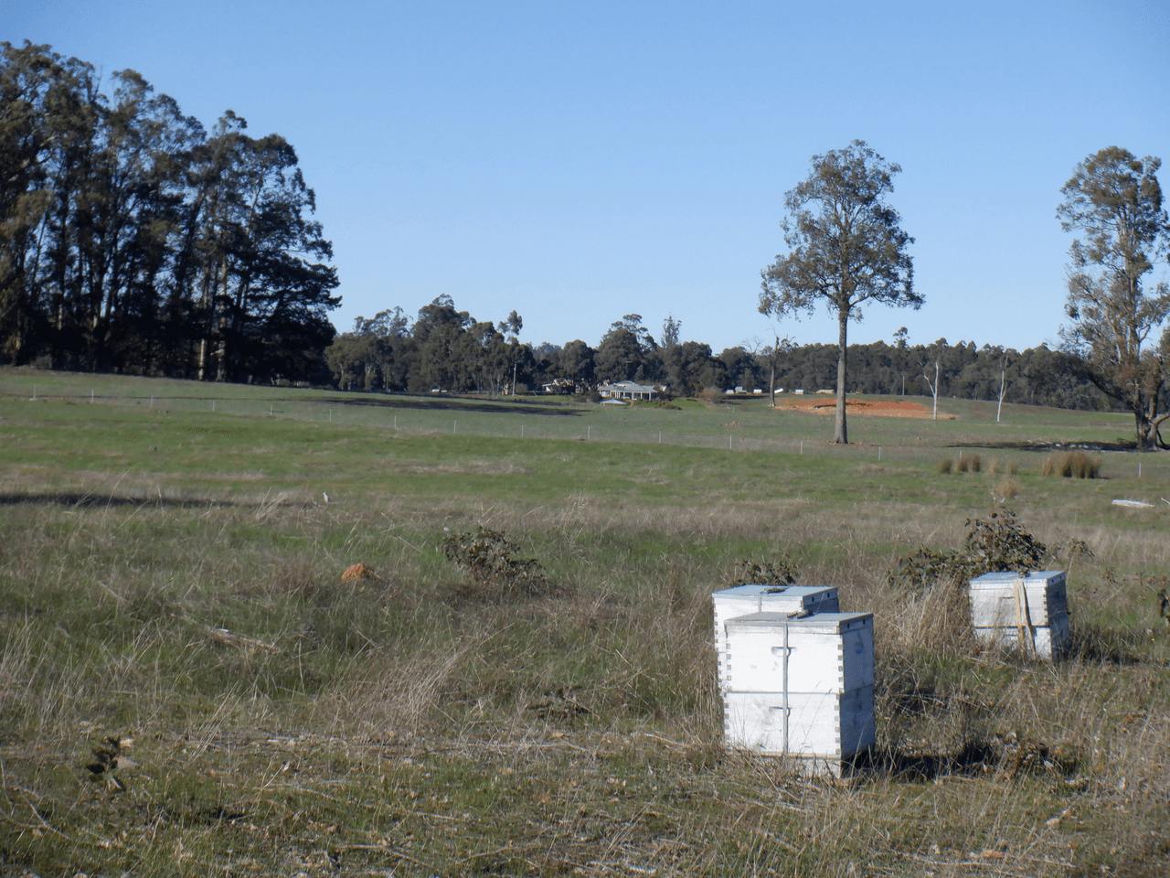 Lot 9604 Ephraim Gully Road, MANJIMUP, WA 6258