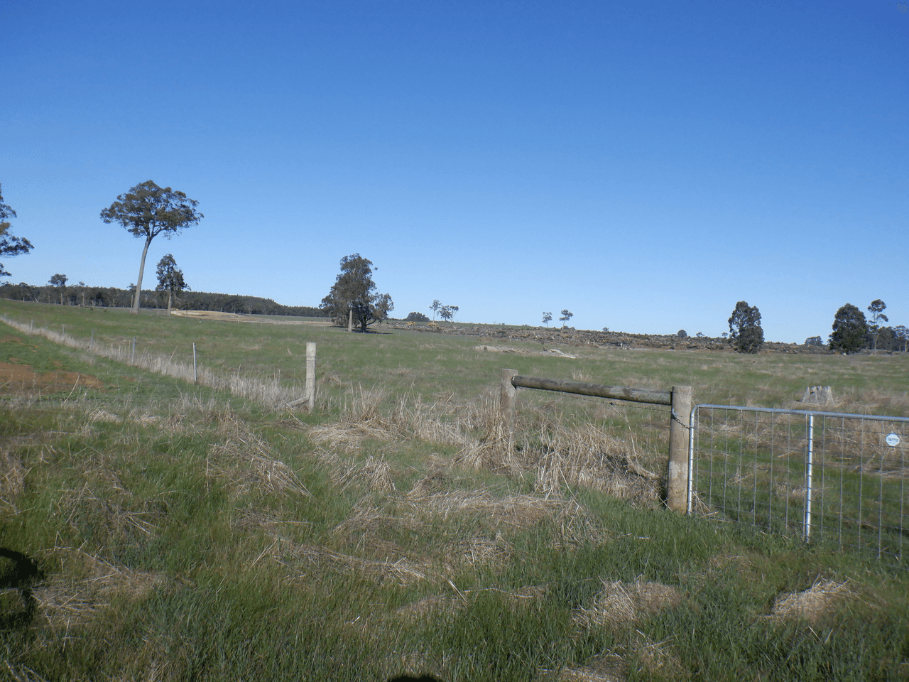 Lot 9604 Ephraim Gully Road, MANJIMUP, WA 6258