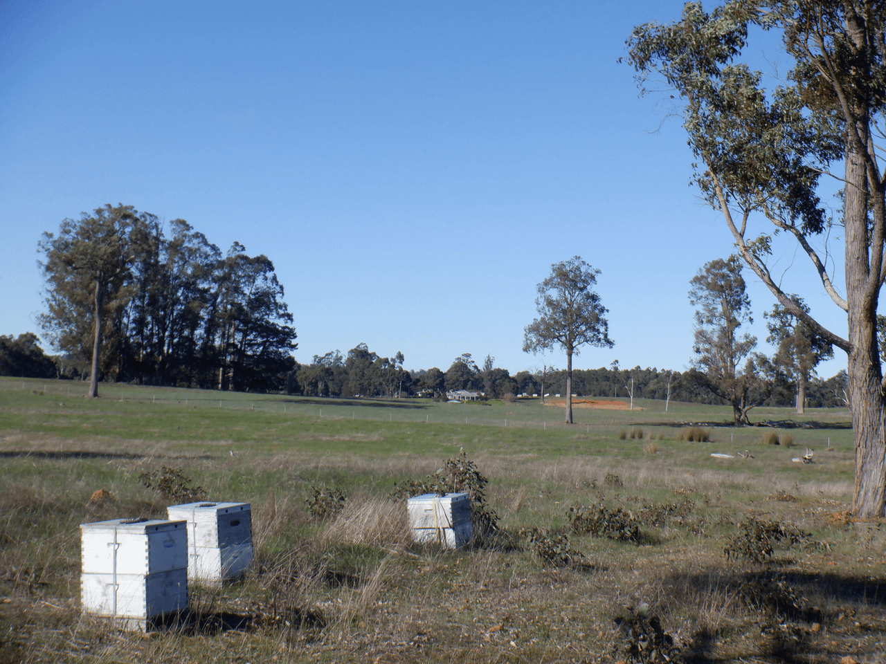 Lot 9604 Ephraim Gully Road, MANJIMUP, WA 6258