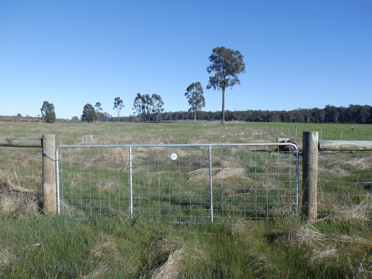 Lot 9604 Ephraim Gully Road, MANJIMUP, WA 6258