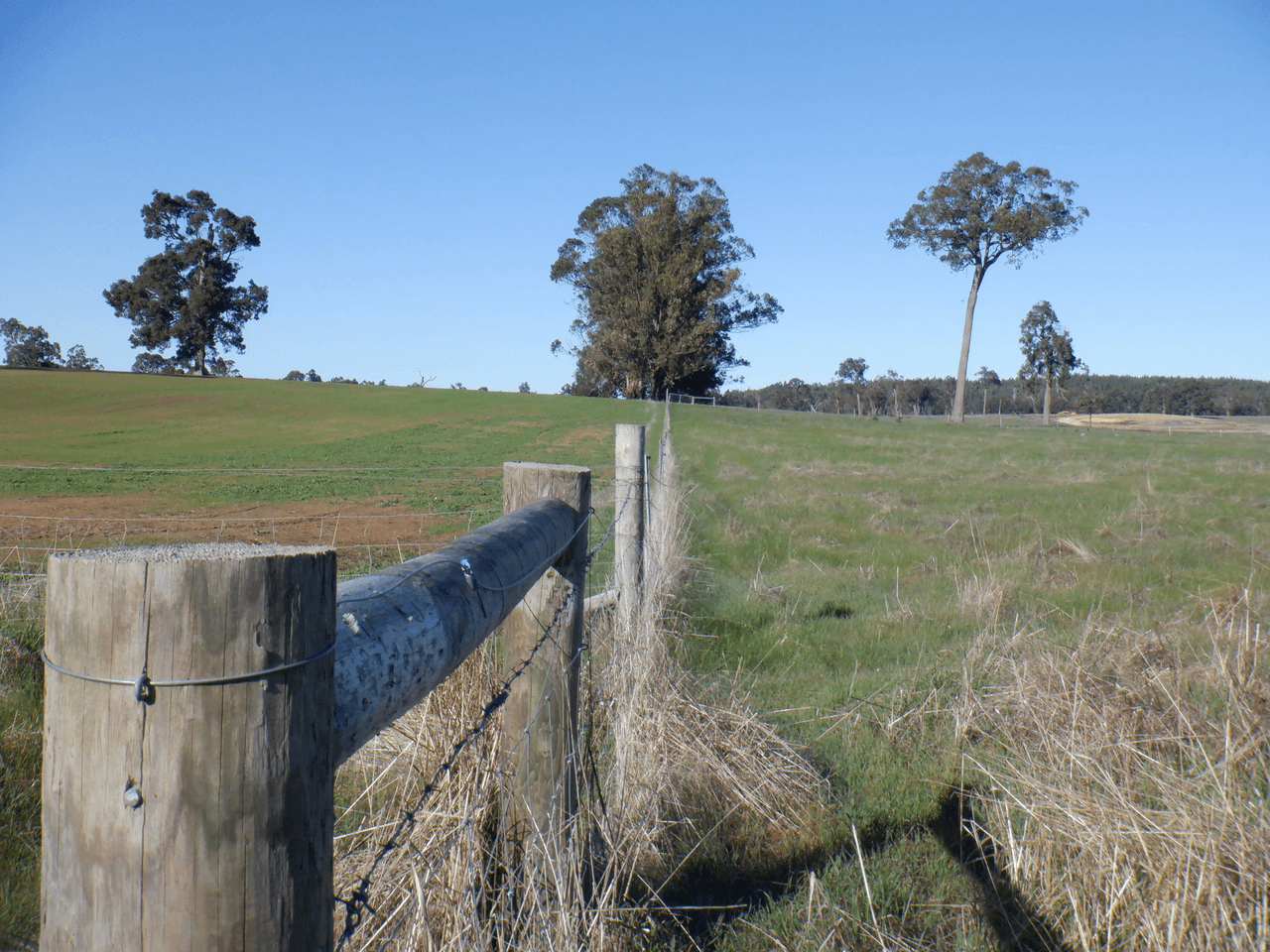 Lot 9604 Ephraim Gully Road, MANJIMUP, WA 6258