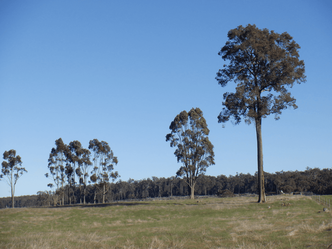 Lot 9604 Ephraim Gully Road, MANJIMUP, WA 6258