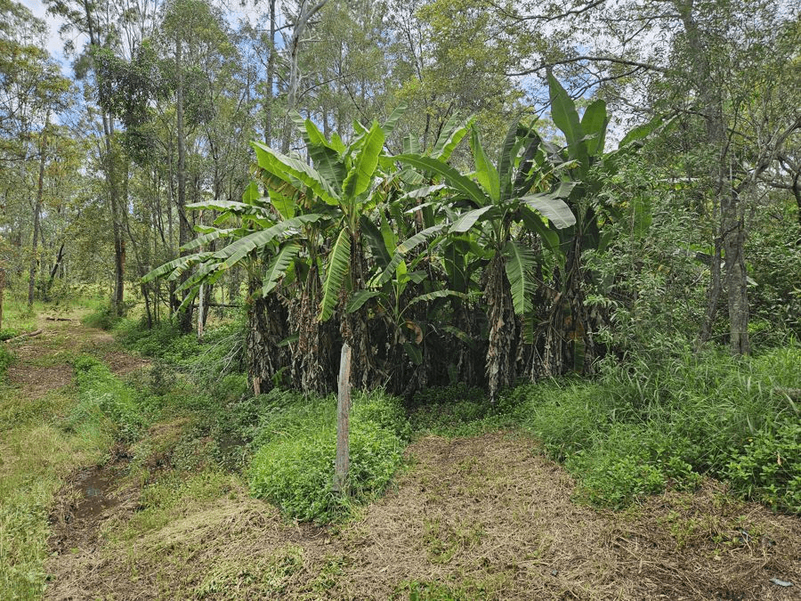 Lot 8 Arborone Rd, GLENWOOD, QLD 4570