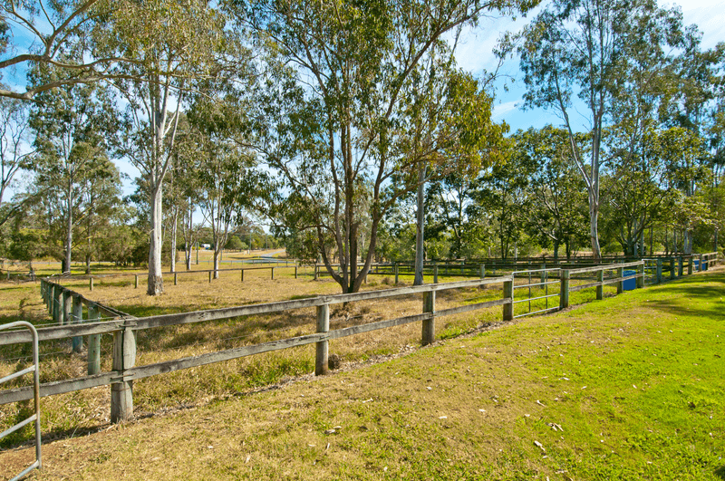 219 Redwood Circle, JIMBOOMBA, QLD 4280