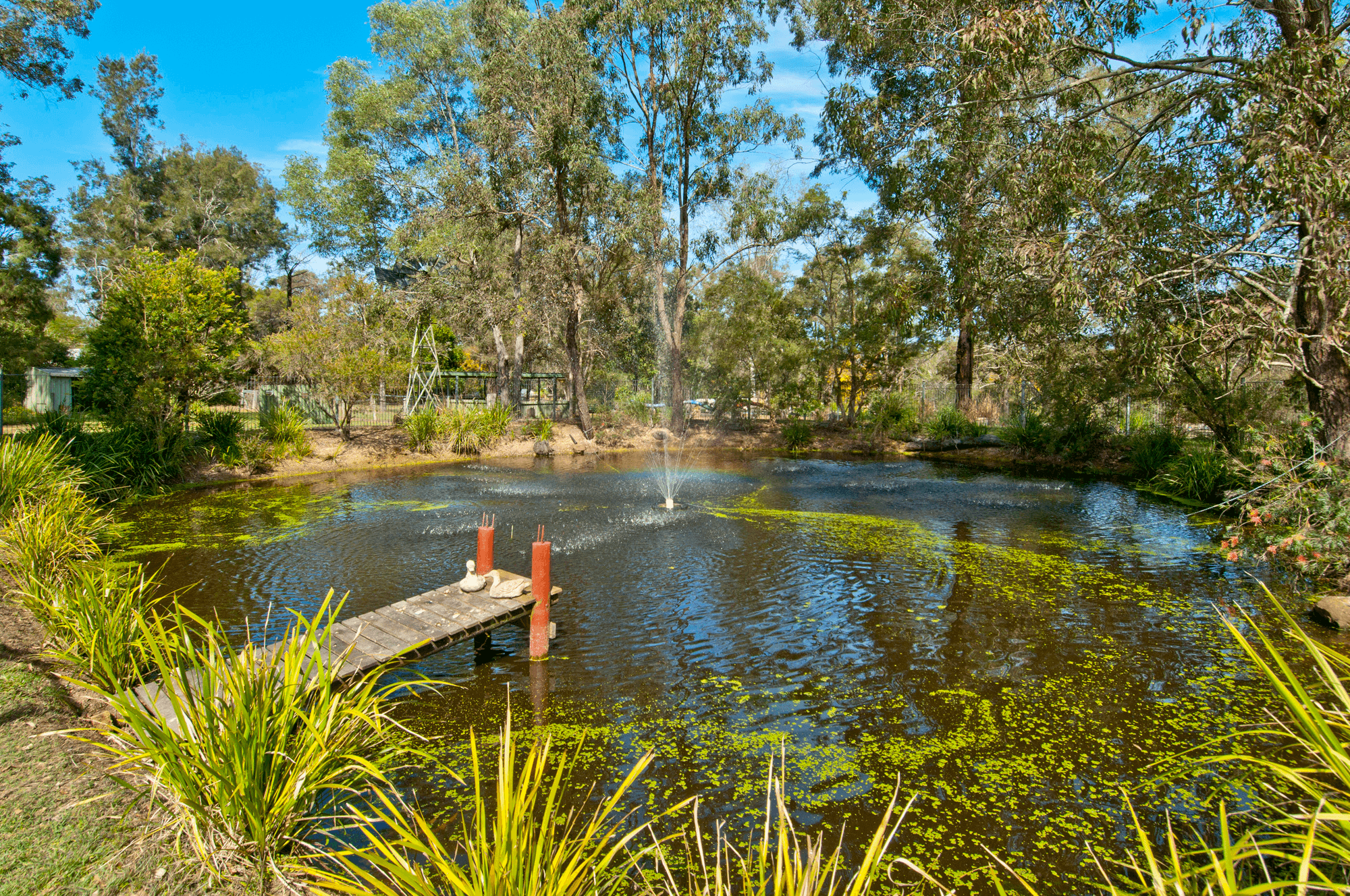 219 Redwood Circle, JIMBOOMBA, QLD 4280