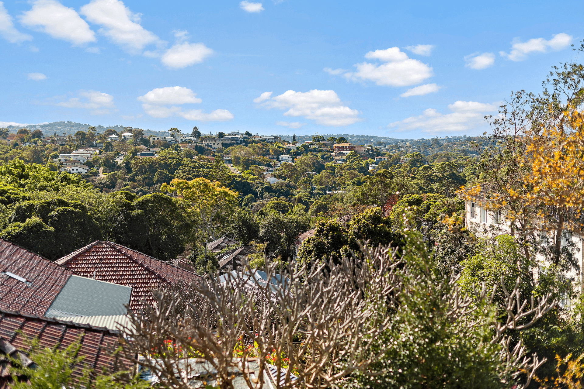 24 Angle Street, Balgowlah, NSW 2093