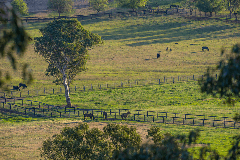 185 Alma Road, Gundy, NSW 2337