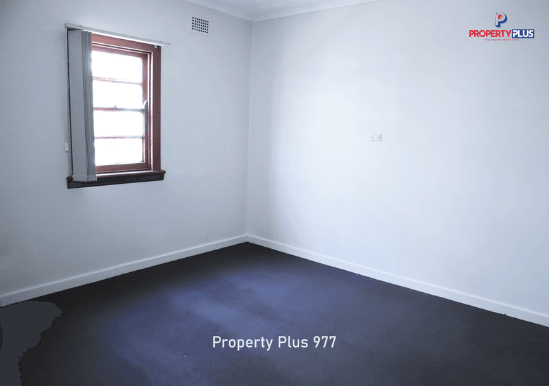 202 The Horsley Drive, FAIRFIELD, NSW 2165