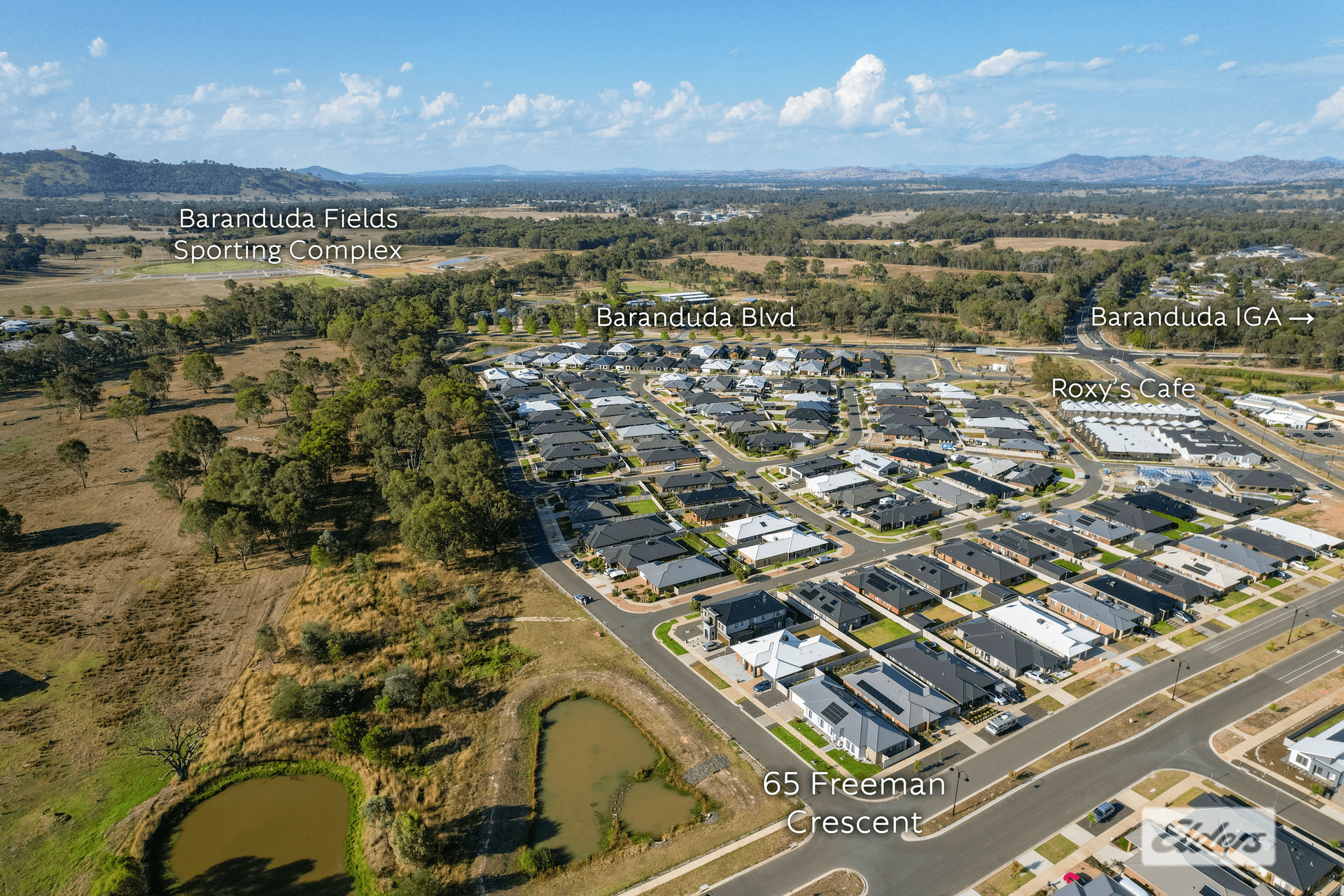 65 Freeman Crescent, Baranduda, VIC 3691