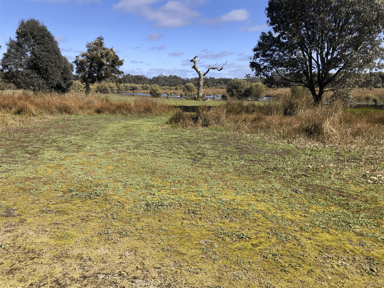 ' Corbalup ', PERUP, WA 6258