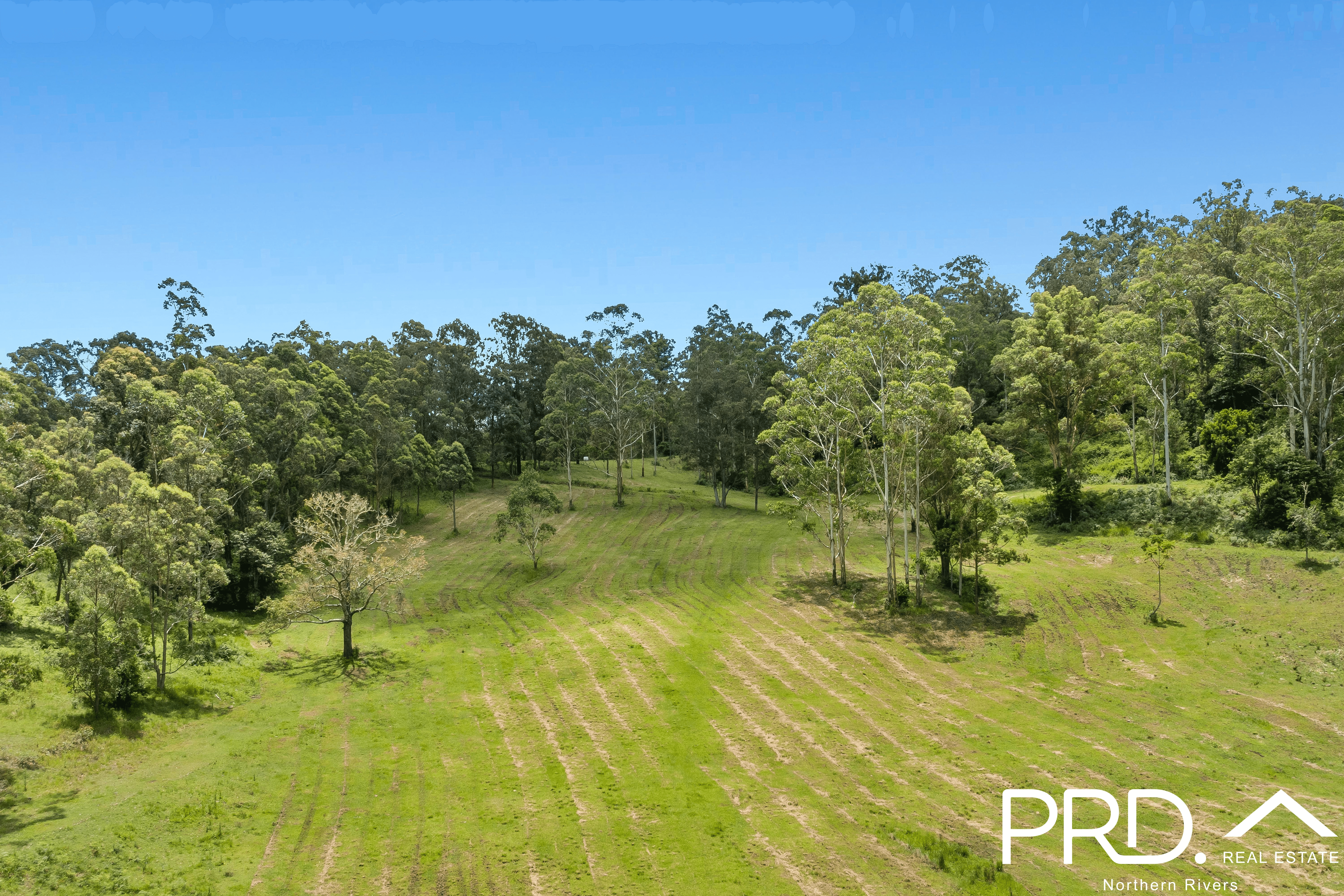 656 Roseberry Creek Road, ROSEBERRY CREEK, NSW 2474