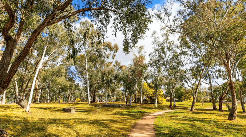 101/140  Thynne Street, Bruce, ACT 2617