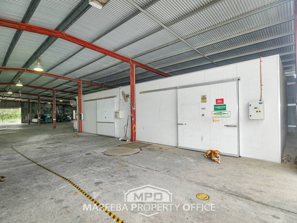 65793 Burke Developmental Road, DIMBULAH, QLD 4872
