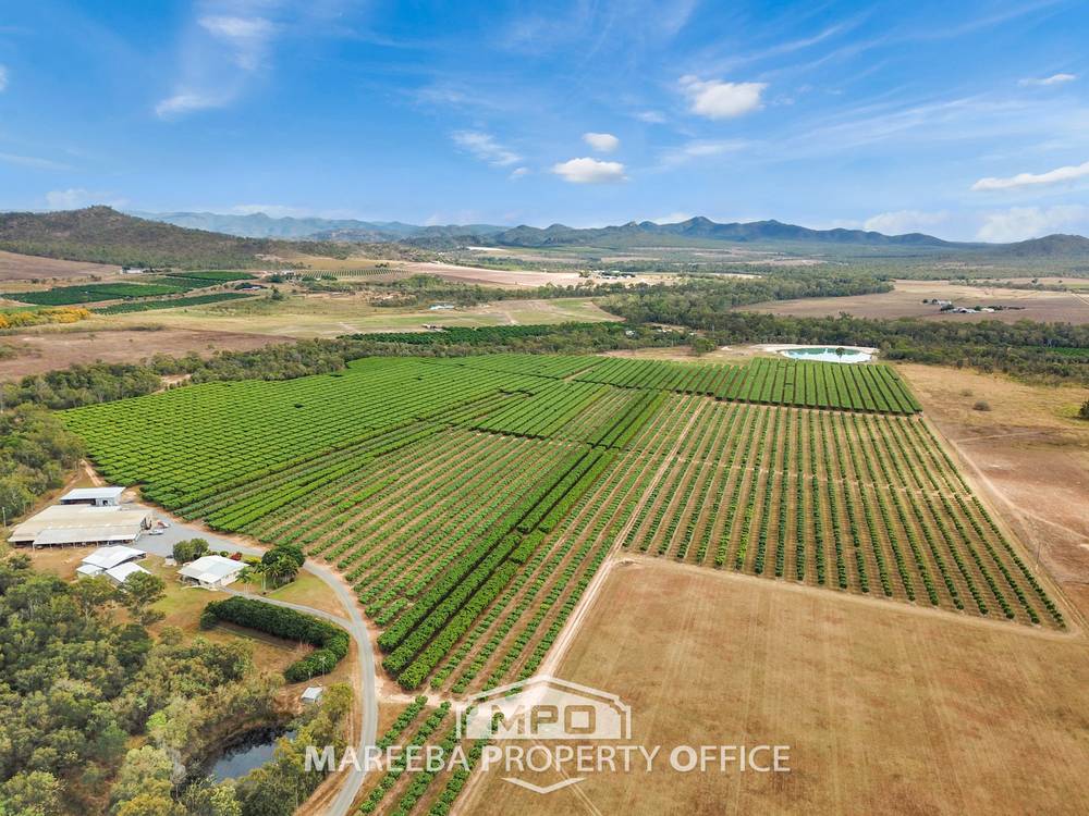 65793 Burke Developmental Road, DIMBULAH, QLD 4872