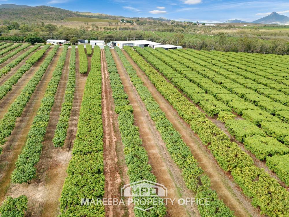 65793 Burke Developmental Road, DIMBULAH, QLD 4872