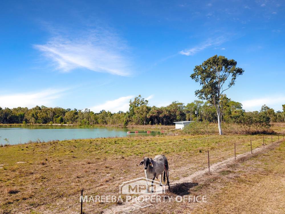 65793 Burke Developmental Road, DIMBULAH, QLD 4872