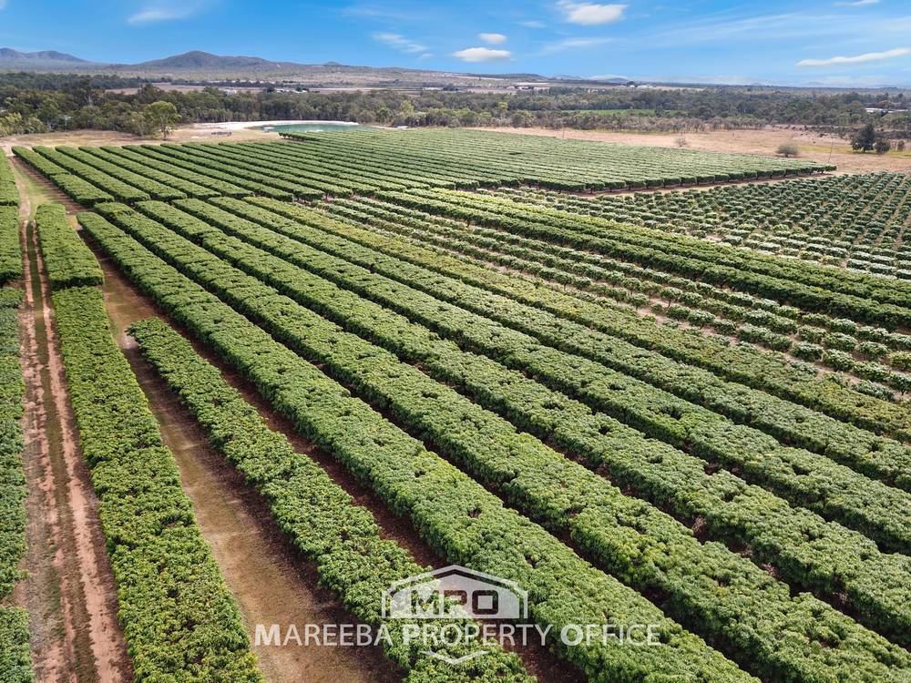 65793 Burke Developmental Road, DIMBULAH, QLD 4872