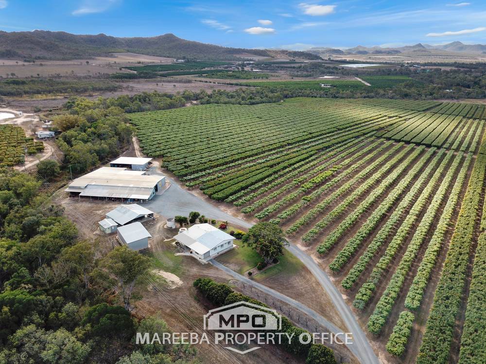 65793 Burke Developmental Road, DIMBULAH, QLD 4872