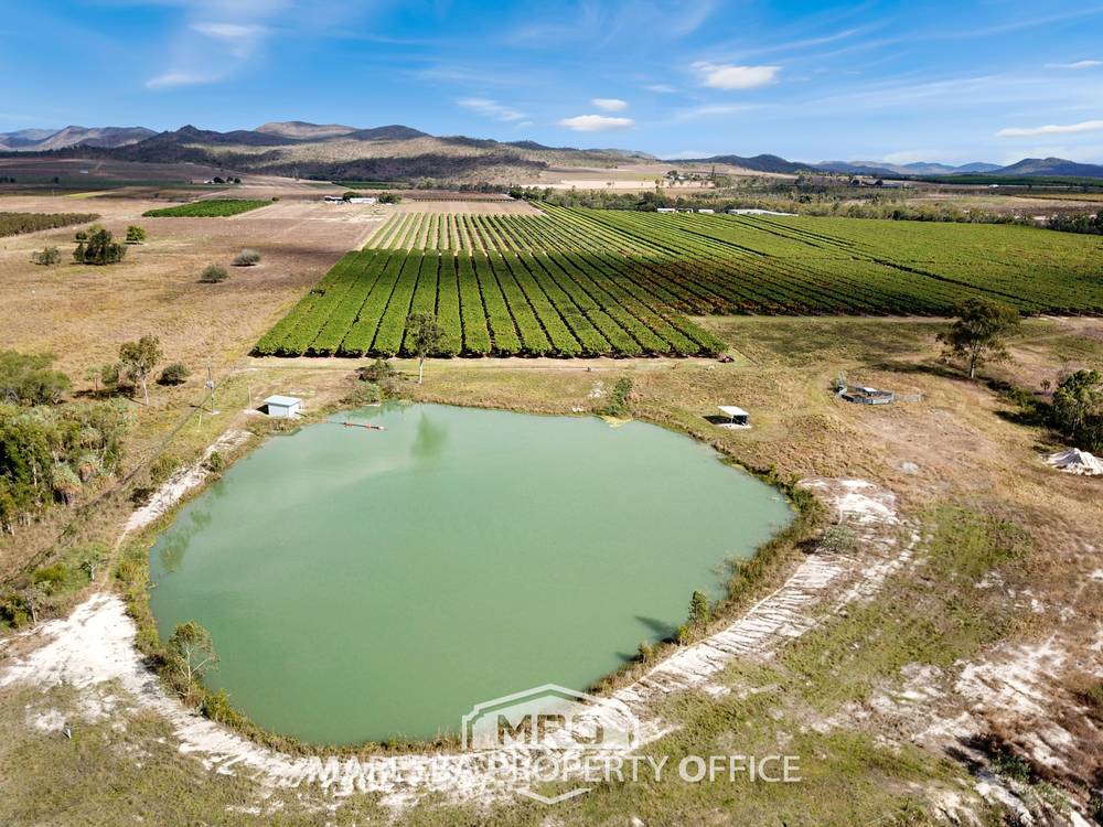 65793 Burke Developmental Road, DIMBULAH, QLD 4872