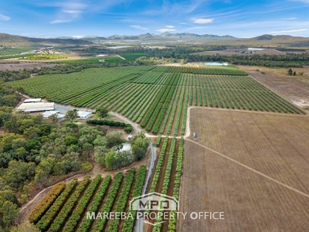 65793 Burke Developmental Road, DIMBULAH, QLD 4872