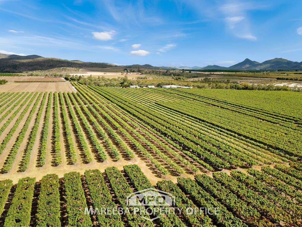 65793 Burke Developmental Road, DIMBULAH, QLD 4872