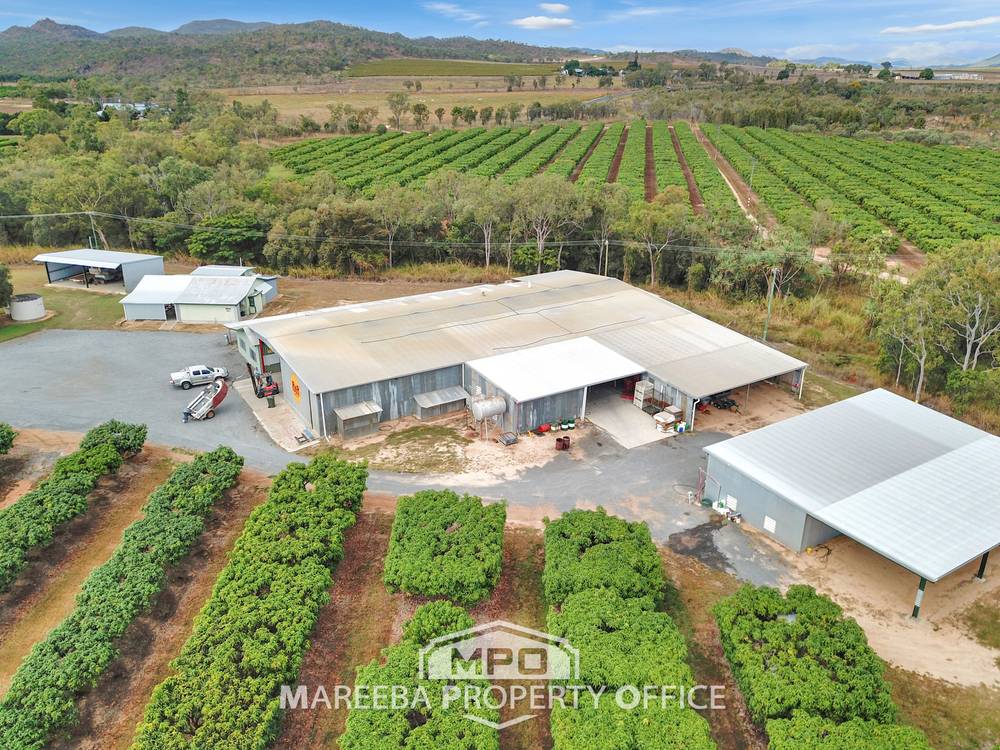 65793 Burke Developmental Road, DIMBULAH, QLD 4872