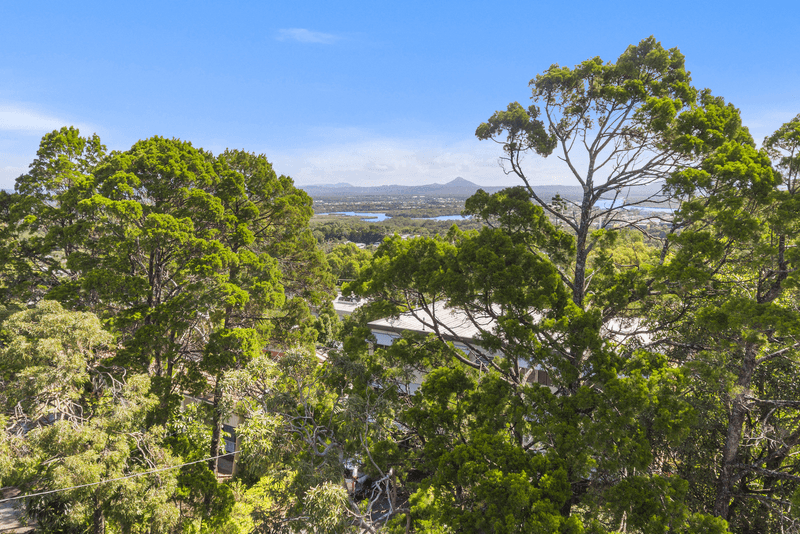 6 Angler St, Noosa Heads, QLD 4567