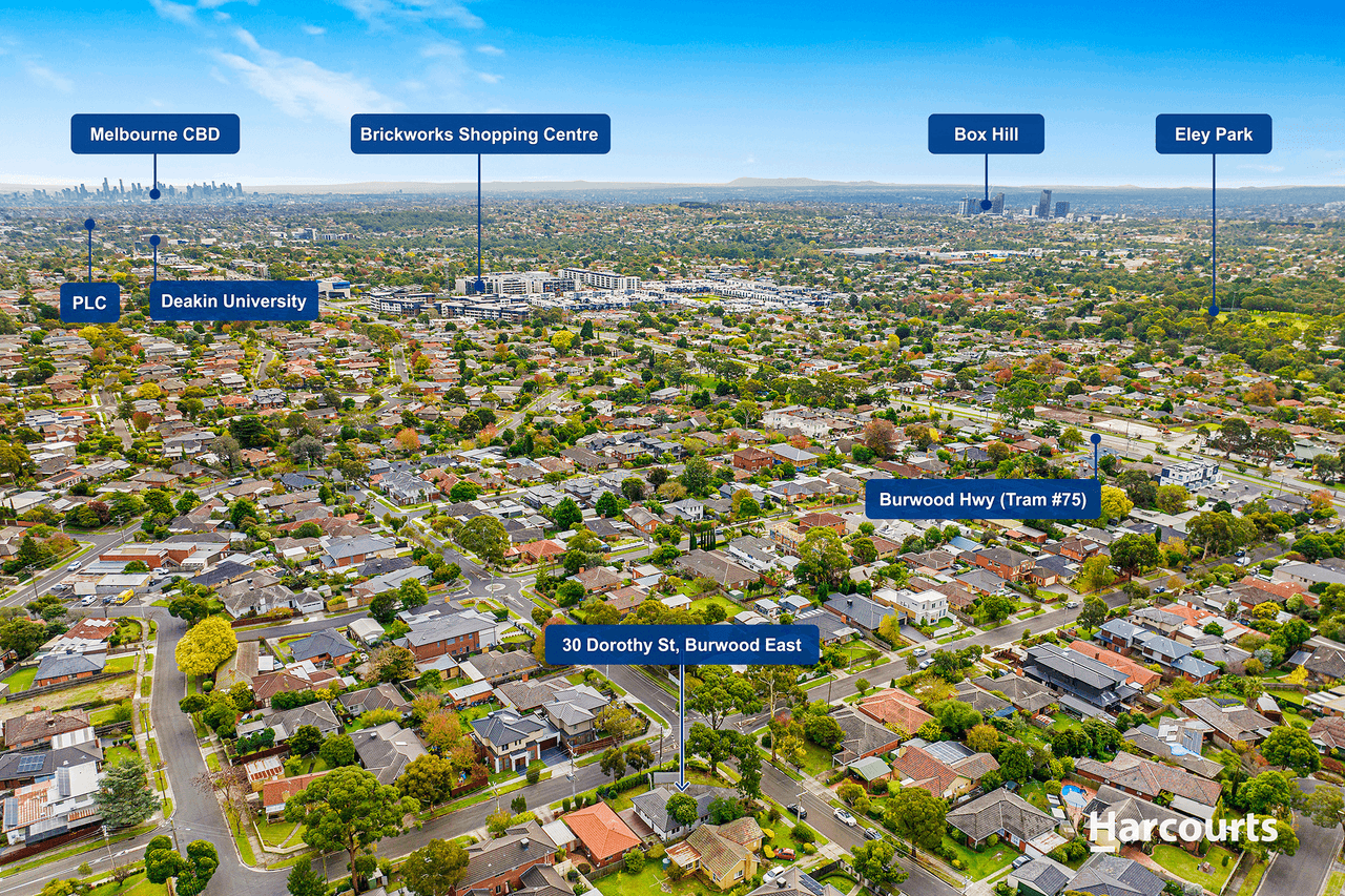 30 Dorothy Street, BURWOOD EAST, VIC 3151