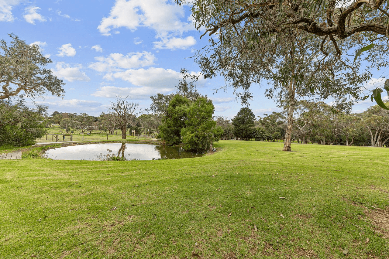 17 Grassmere Road, Langwarrin, VIC 3910