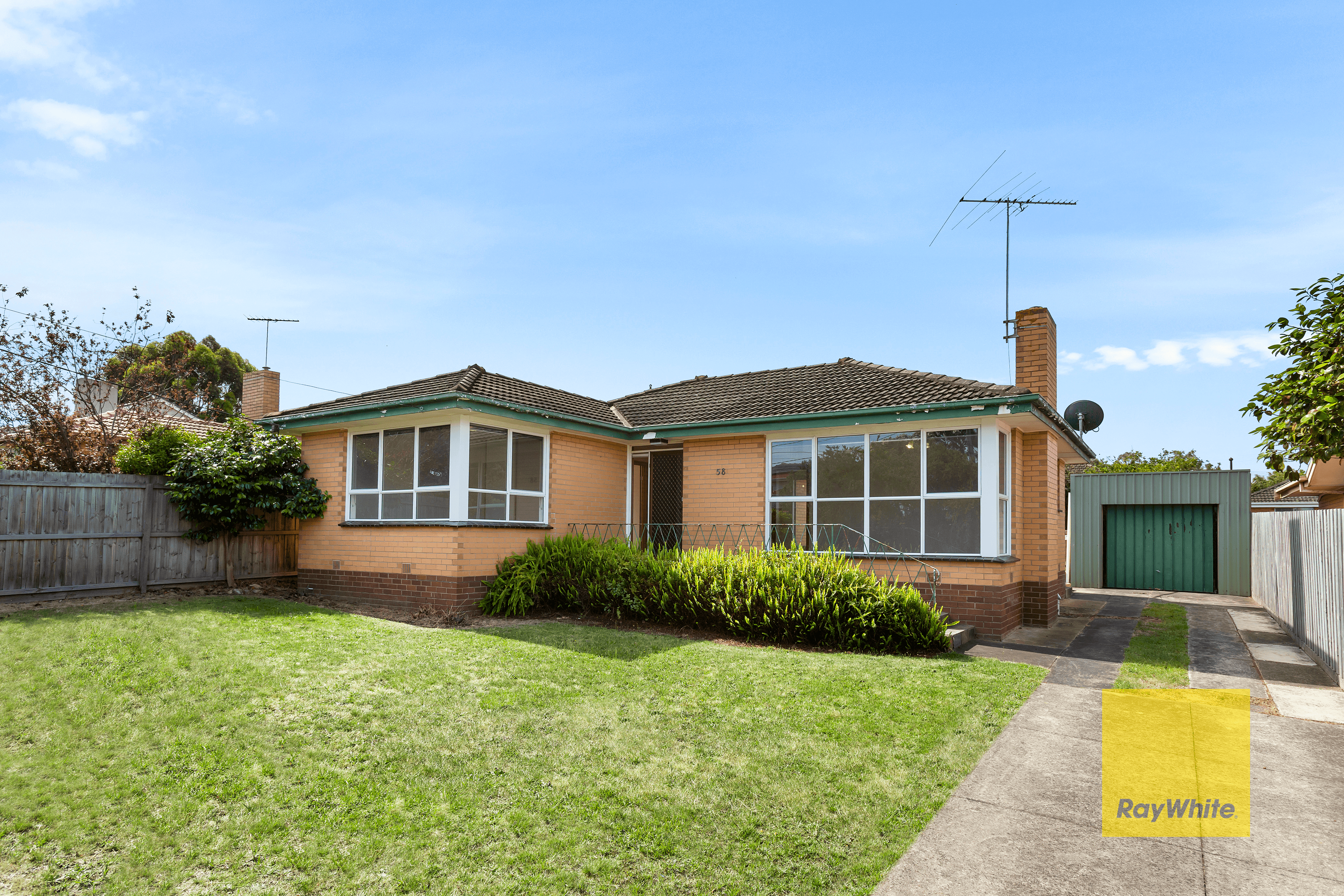 58 Porter Avenue, HIGHTON, VIC 3216