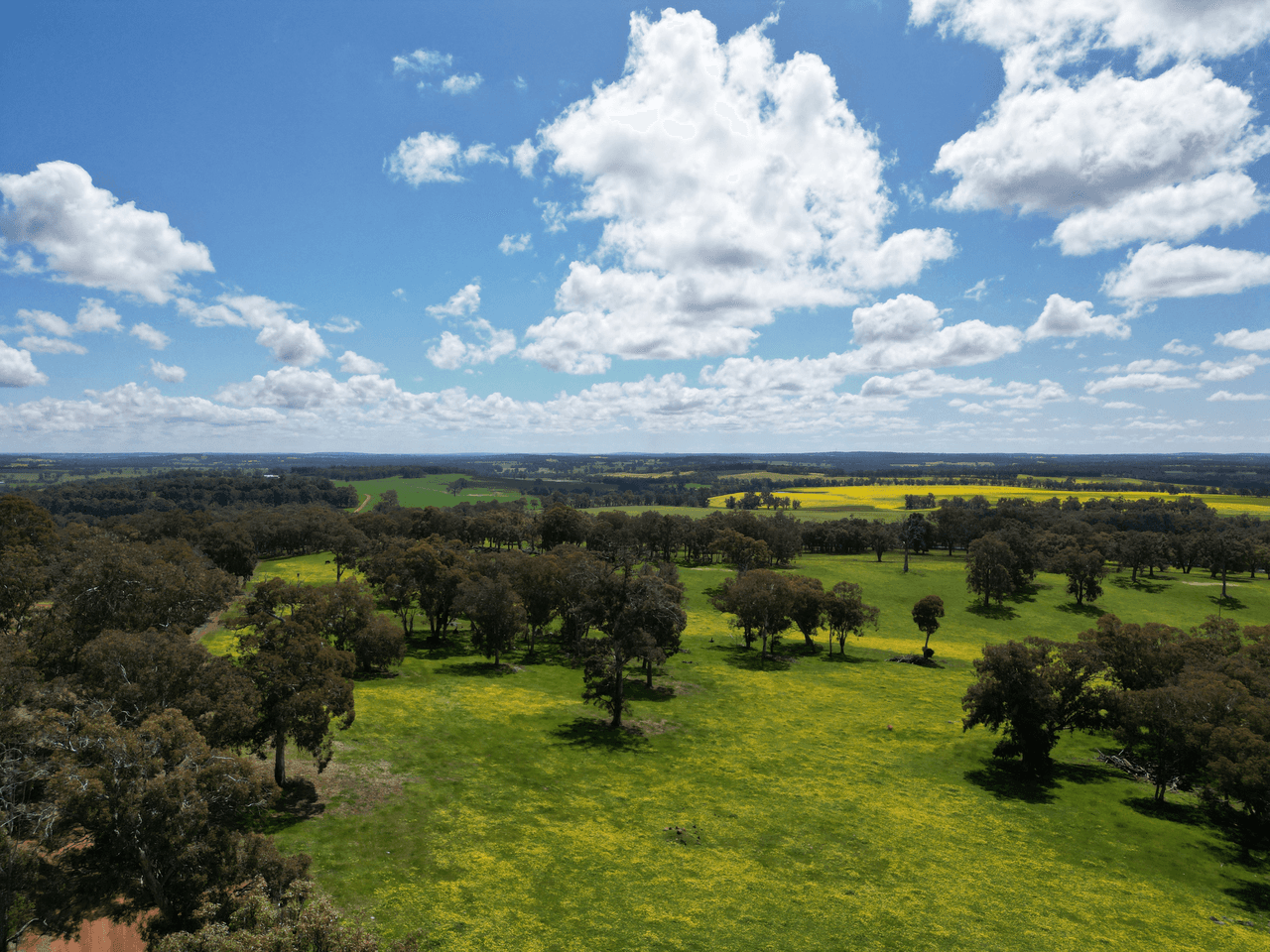 Lot 5607 Boyup Brook - Kojonup Road, SCOTTS BROOK, WA 6244