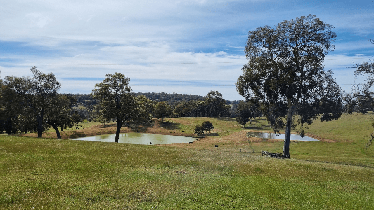 Lot 5607 Boyup Brook - Kojonup Road, SCOTTS BROOK, WA 6244