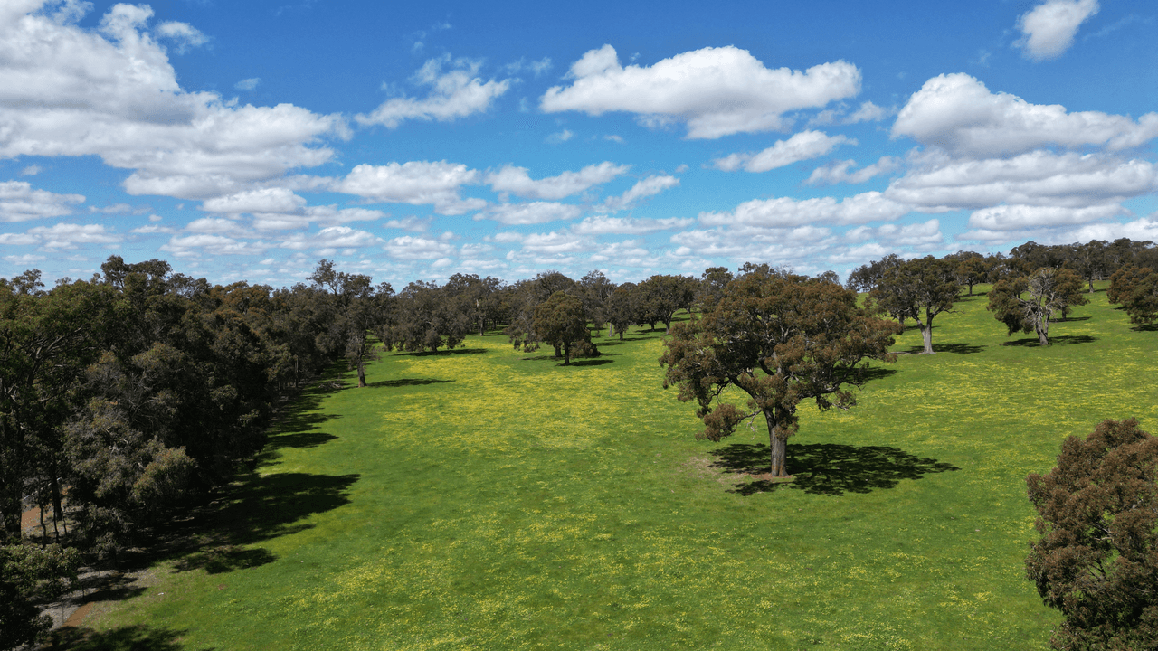 Lot 5607 Boyup Brook - Kojonup Road, SCOTTS BROOK, WA 6244