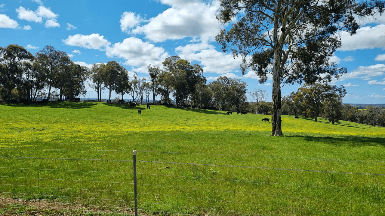 Lot 5607 Boyup Brook - Kojonup Road, SCOTTS BROOK, WA 6244